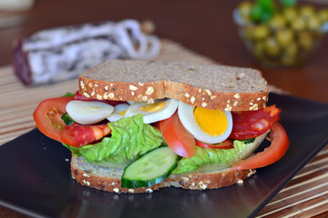 Fresh and healthy sandwich with salami and vegetables on a plate