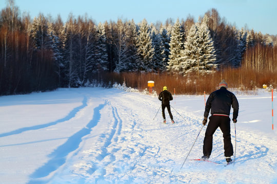 Back of two nonpro skiers riding on track near forest at winter
