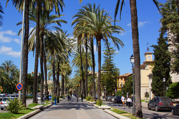 palma de mallorca © fotobild40