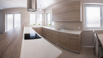 Wooden kitchen cabinet