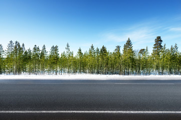 Fototapeta premium road in winter forest