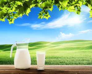 milk and sunny spring field