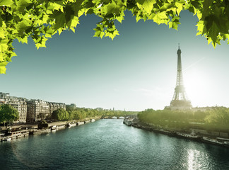 Eiffel tower in sunrise time