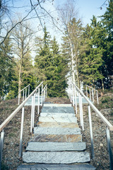 Fototapeta na wymiar Stairs in the Forest