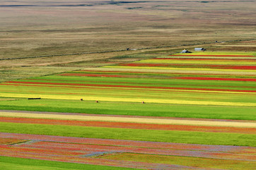 Piano Grande di Castelluccio (Italy)