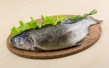 Raw fresh trout