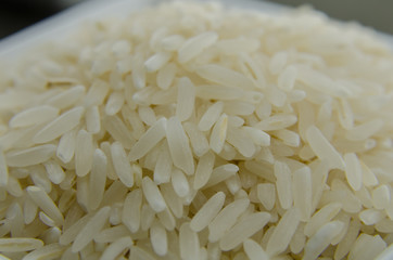 White Rice Close Up
