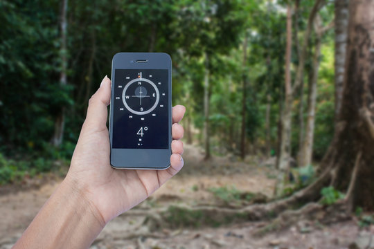 Concept a Hand Holding a Compass on smart phone in jungle background