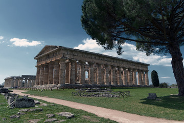 Fototapeta na wymiar Area Archeologica Paestum - Templi