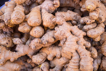 Ginger
