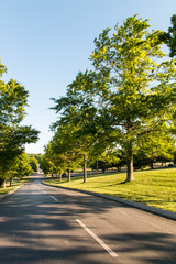 Road in a park.