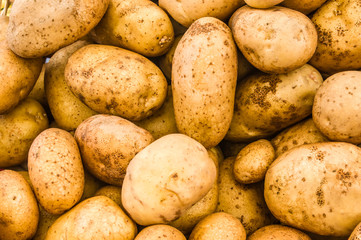 Display of white potatoes at market