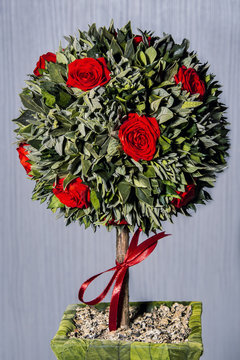 Tree form from leaves and red roses