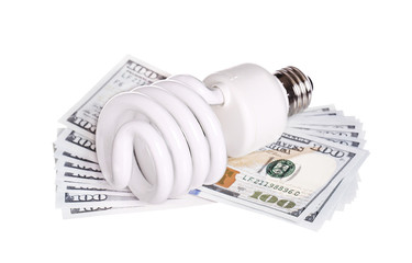 CFL Fluorescent Light Bulb with money dollar cash isolated on wh