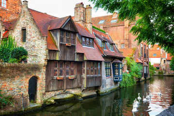 Fototapeta na wymiar Medieval houses on a canal with white ducks in Bruges, Belgium