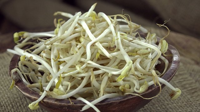 Mungbean Sprouts (not loopable)