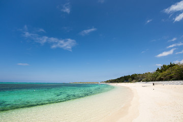 Fototapeta na wymiar 沖縄のビーチ・備瀬の浜