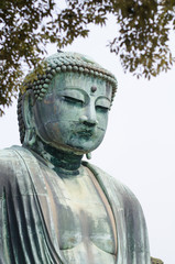 The great Buddha (Daibutsu) in Kamakura , Japan