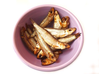 Sprotten
