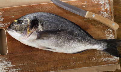Fresh raw dorado on  wooden cutting board