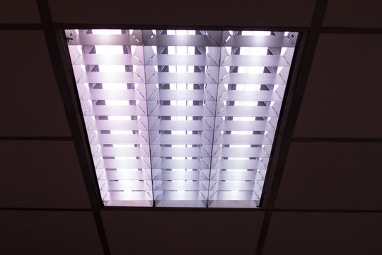 fluorescent lamp