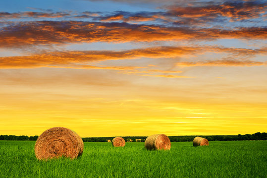 Straw bale in a lush green field at sunset