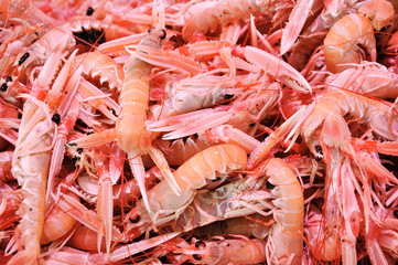 coquillages et crustacés