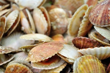 coquillages et crustacés