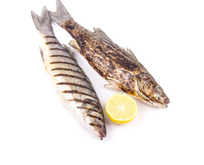 Two grilled fish on white.