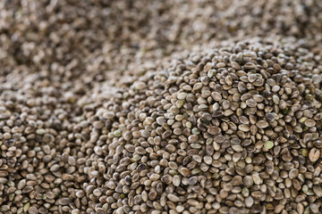 Hemp Seed background