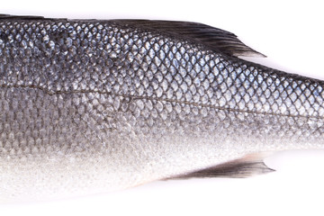 Close up of seabass scale texture.