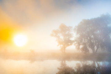 Misty dawn and silhouettes of the trees by a river