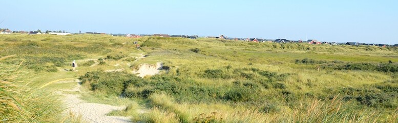 Fototapeta na wymiar Lakolk, Insel Rømø, Dänemark, Dünenlandschaft mit Ferienhäusern, Panorama