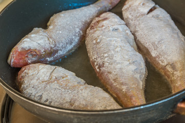 fish fillet cooking on fry pan, food preparation, cooking time