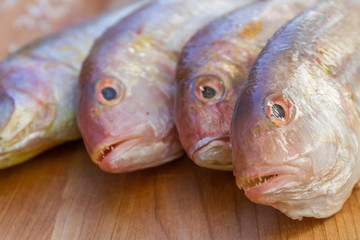 fresh fish on wooden cutting board ready for cooking