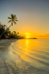 isole caraibiche di polinesia con palme e tramonto - 81426652