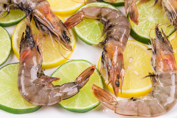 Raw tiger shrimps on plate.