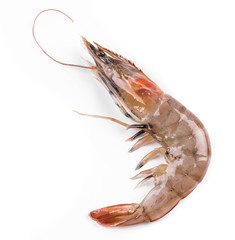 Raw tiger shrimp on white.