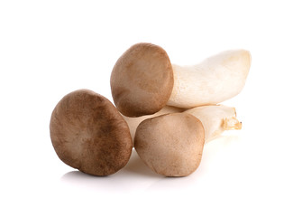 King Oyster mushroom (Eringi) isolated on white backgroud.