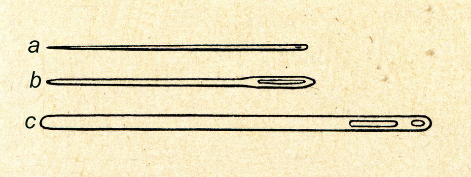 Needles and bodkin (c)