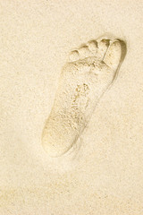 Close up of a footprint on beach sand