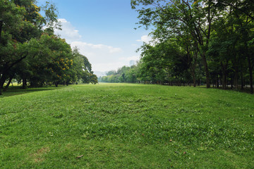 Landscape lawn in the park