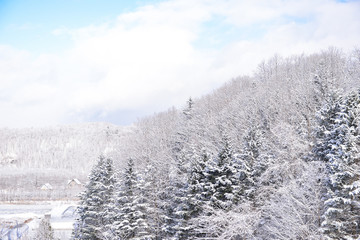powder snow mountain in Sapporo, Hokkaido Japan