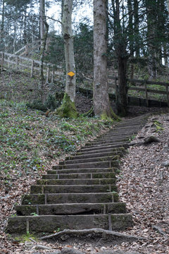 Treppe