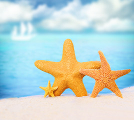 Fototapeta na wymiar Summer beach. Family of starfish on a seashore.