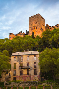 Alhambra 10