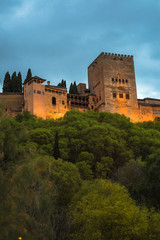 Fototapeta na wymiar Alhambra 8