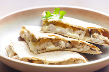 Mexican chicken quesadilla