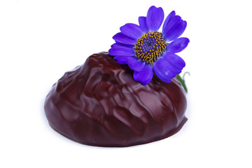 Covered zephyr on a white background.