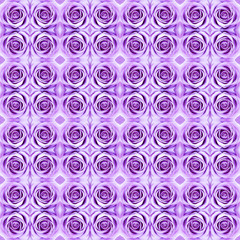 Abstract violet rose pattern background.